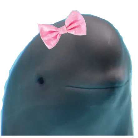 Porpoise